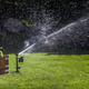 Orbit Yard Enforcer Motion-Activated Sprinkler | $70 | Amazon